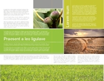 Farming Half Fold Brochure