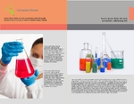 Chemical Half Fold Brochure