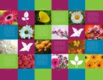 Flower Stack Half Fold Brochure