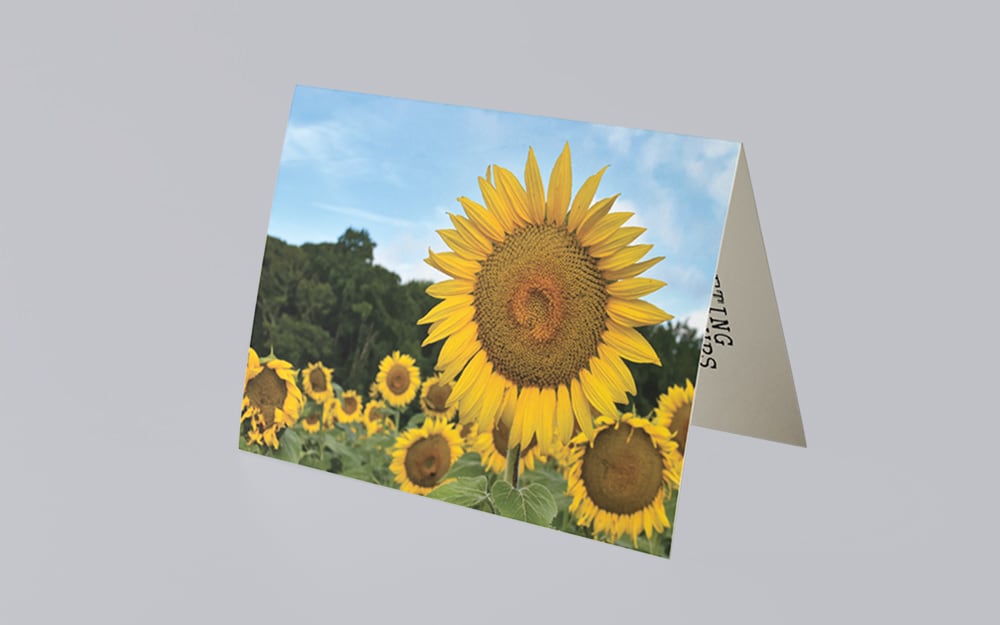 Greeting Card Printing Greeting Card Printing