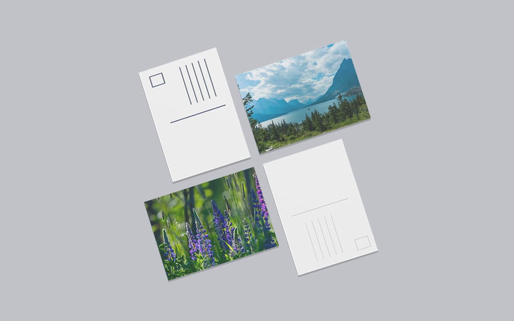 Postcard Printing  Postcard Printing