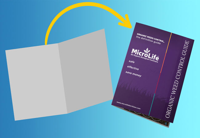 Rack Brochure Templates